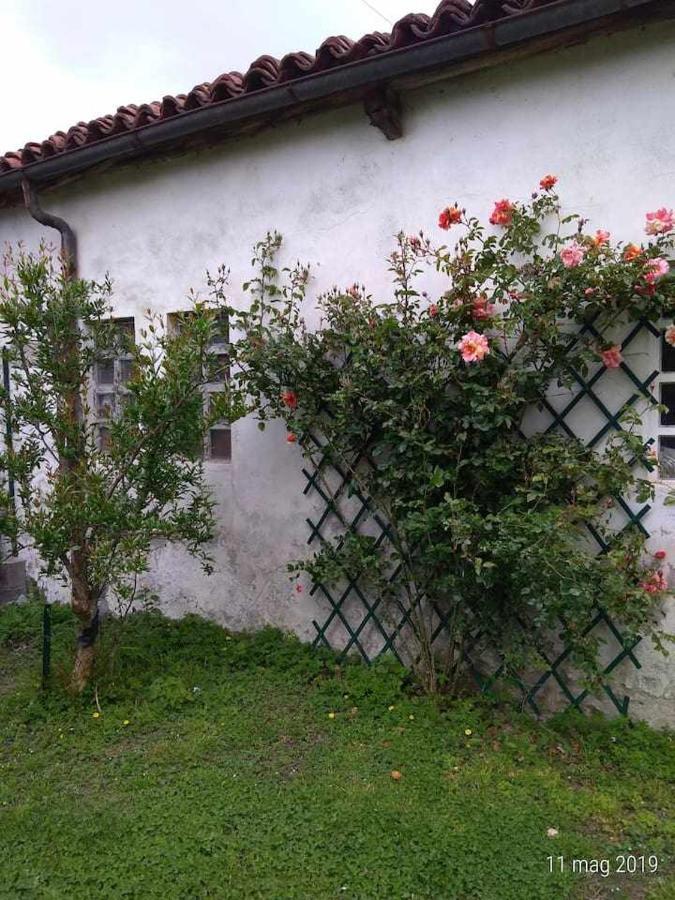 CascinetteBeb Infamiglia住宿加早餐旅馆 外观 照片